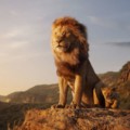 あなたは気づいた!?映画『ライオン・キング』の中にあった唯一の実写シーン